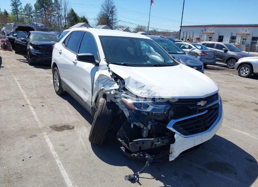 2019 Chevrolet Equinox LS (VIN 3GNAXSEV9KS628996) main photo