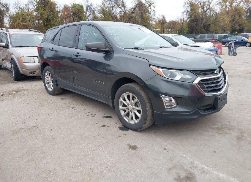 2019 Chevrolet Equinox LS (VIN 3GNAXSEVXKS613133) main photo