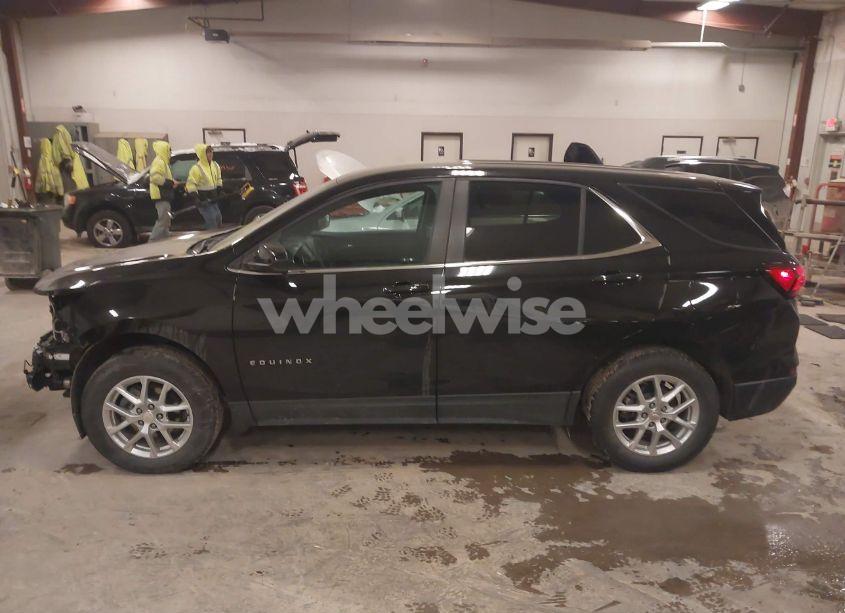 Photo 14 of 2024 Chevrolet Equinox AWD LT (VIN 3GNAXUEG0RL105769)