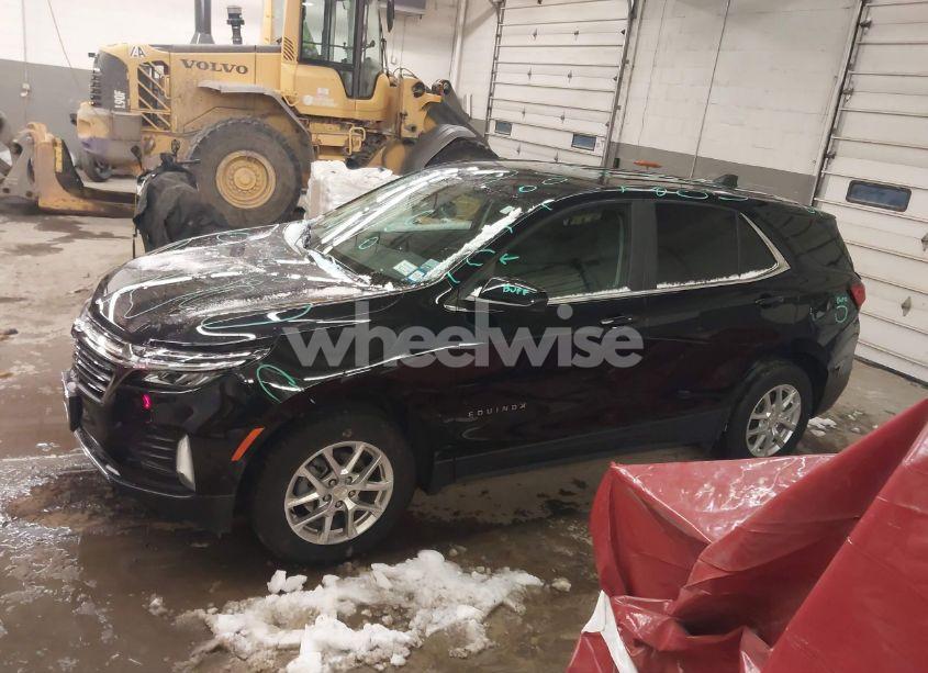 Photo 14 of 2024 Chevrolet Equinox AWD LT (VIN 3GNAXUEG1RL302224)