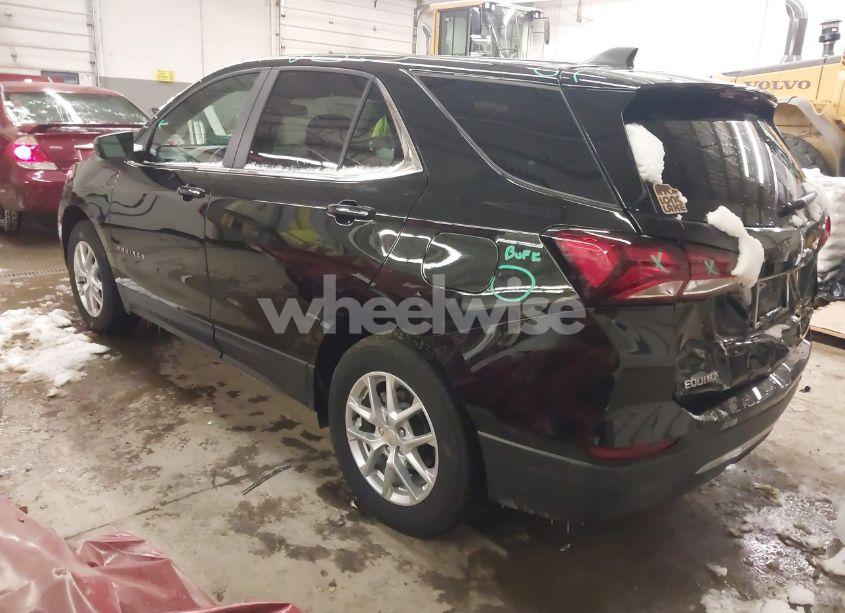 Photo 3 of 2024 Chevrolet Equinox AWD LT (VIN 3GNAXUEG1RL302224)
