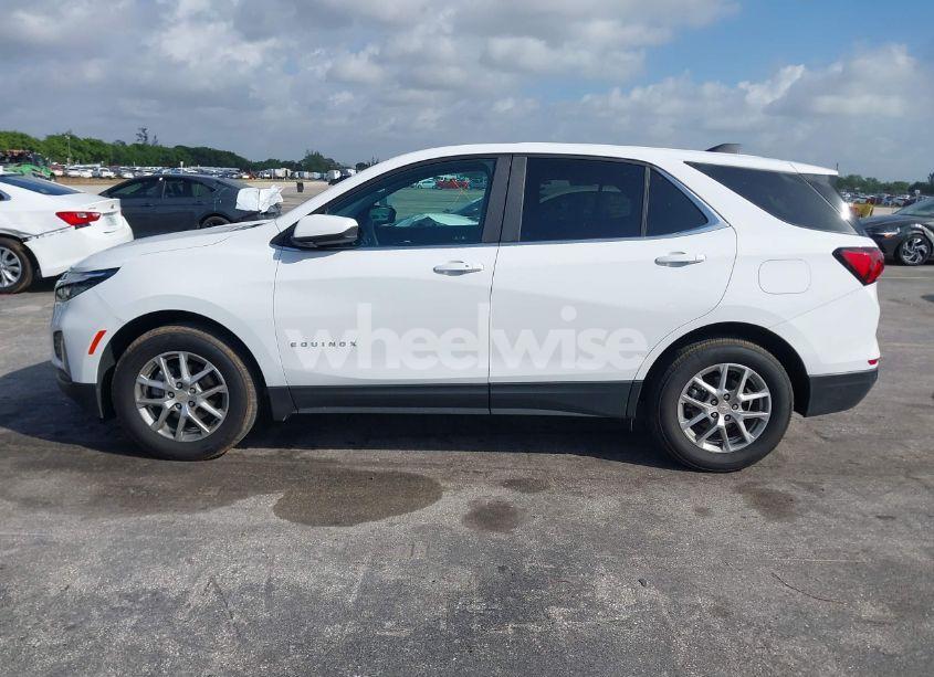 Photo 14 of 2024 Chevrolet Equinox AWD LT (VIN 3GNAXUEG1RL360947)