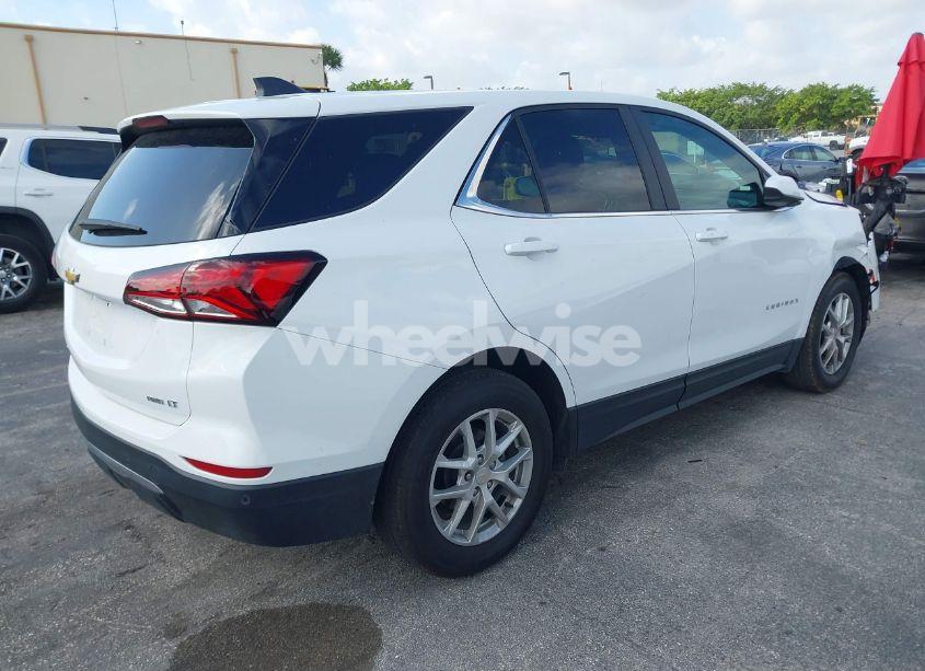 Photo 4 of 2024 Chevrolet Equinox AWD LT (VIN 3GNAXUEG1RL360947)