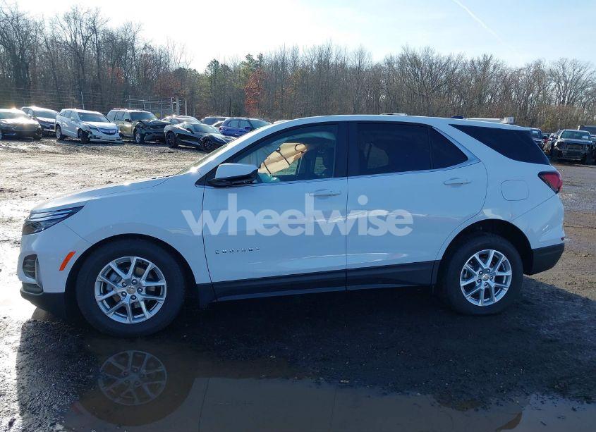 Photo 14 of 2024 Chevrolet Equinox AWD LT (VIN 3GNAXUEG1RL366411)
