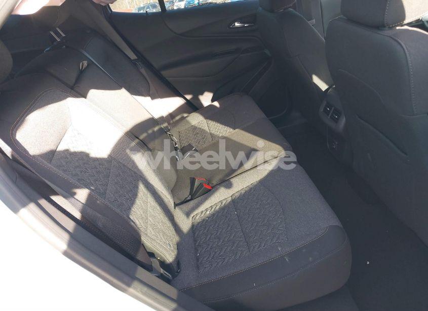 Photo 8 of 2024 Chevrolet Equinox AWD LT (VIN 3GNAXUEG1RL366411)