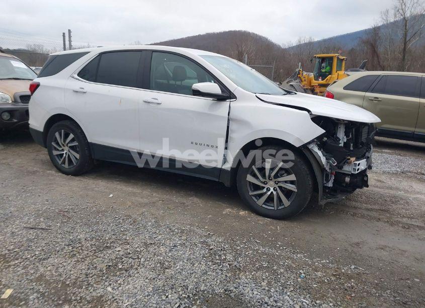 2024 Chevrolet Equinox AWD LT (VIN 3GNAXUEG3RL159776) main photo