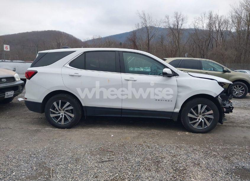 Photo 13 of 2024 Chevrolet Equinox AWD LT (VIN 3GNAXUEG3RL159776)