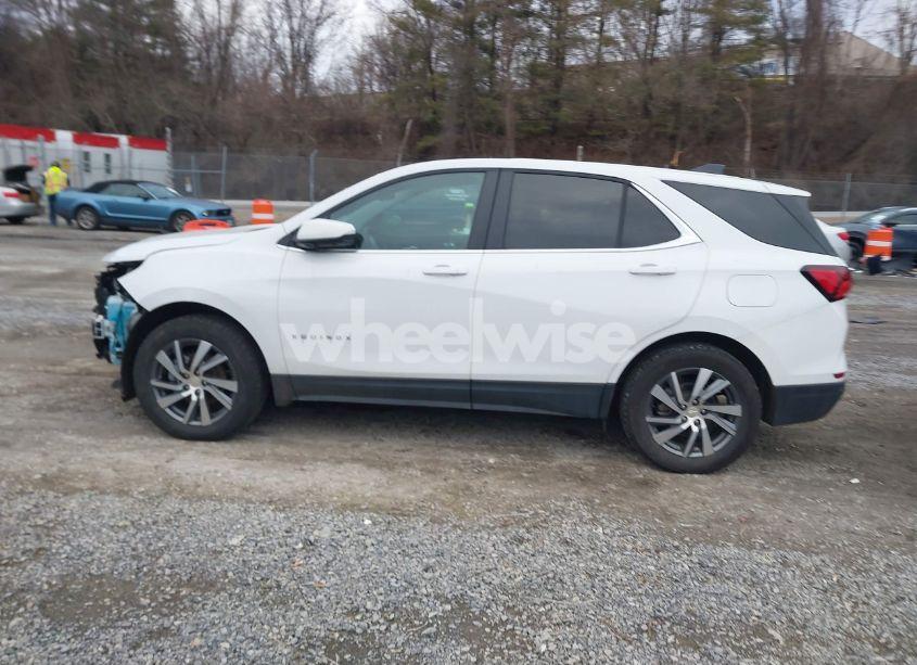 Photo 14 of 2024 Chevrolet Equinox AWD LT (VIN 3GNAXUEG3RL159776)
