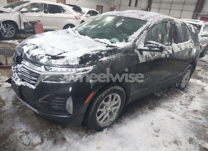 Photo 2 of 2024 Chevrolet Equinox AWD LT (VIN 3GNAXUEG3RL244262)