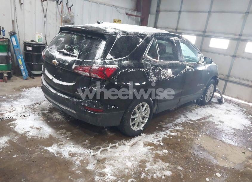 Photo 4 of 2024 Chevrolet Equinox AWD LT (VIN 3GNAXUEG3RL244262)