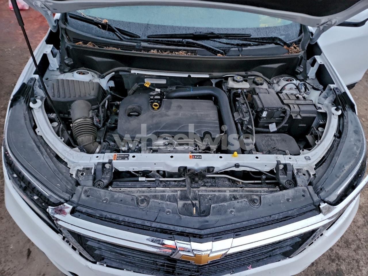 Photo 11 of 2024 CHEVROLET EQUINOX LT (VIN 3GNAXUEG3RL244987)