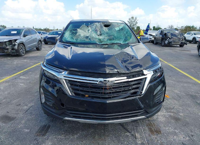 Photo 12 of 2024 Chevrolet Equinox AWD LT (VIN 3GNAXUEG4RL160211)