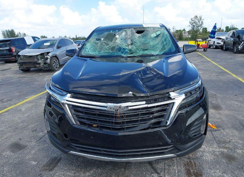 Photo 6 of 2024 Chevrolet Equinox AWD LT (VIN 3GNAXUEG4RL160211)