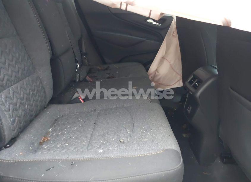 Photo 8 of 2023 Chevrolet Equinox AWD LT (VIN 3GNAXUEG7PL170163)