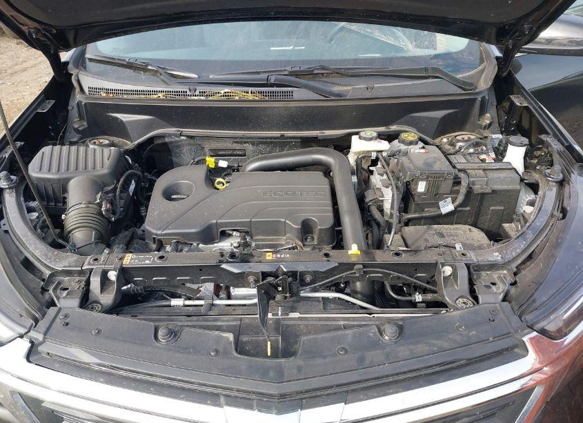 Photo 10 of 2023 Chevrolet Equinox AWD LT (VIN 3GNAXUEG7PL173595)
