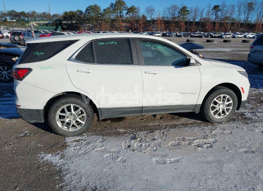 Photo 13 of 2024 Chevrolet Equinox AWD LT (VIN 3GNAXUEG7RS101952)