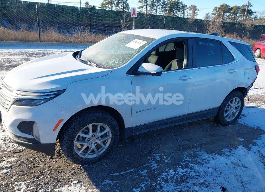 Photo 14 of 2024 Chevrolet Equinox AWD LT (VIN 3GNAXUEG7RS101952)