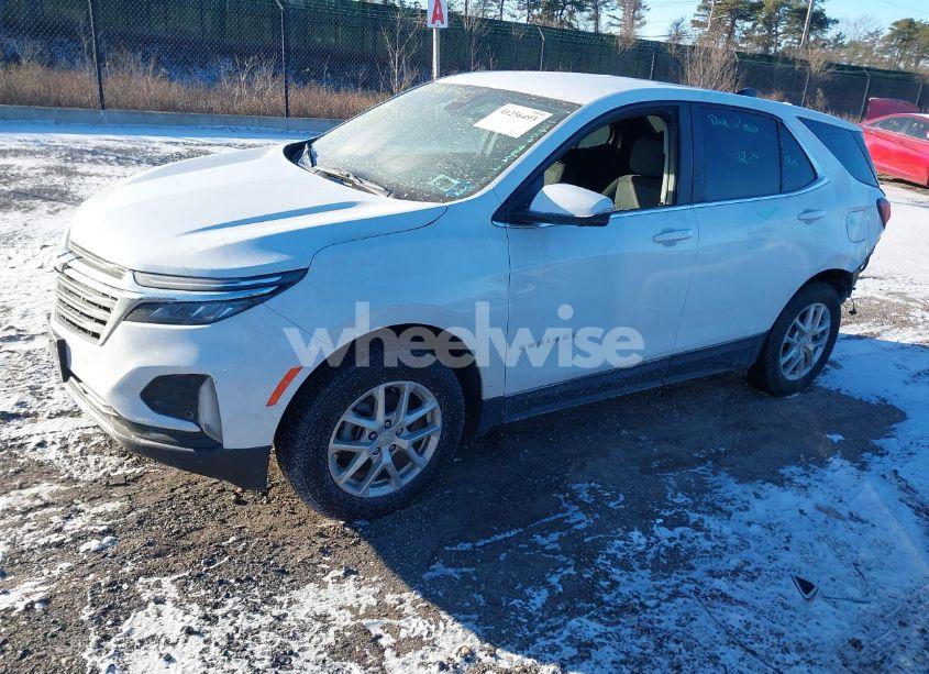 Photo 2 of 2024 Chevrolet Equinox AWD LT (VIN 3GNAXUEG7RS101952)