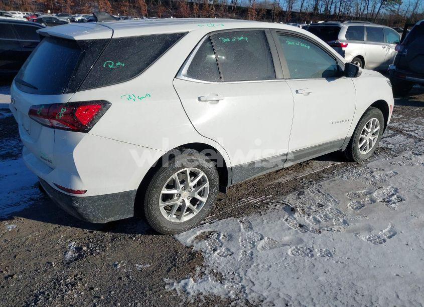 Photo 4 of 2024 Chevrolet Equinox AWD LT (VIN 3GNAXUEG7RS101952)