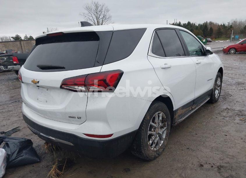 Photo 4 of 2024 Chevrolet Equinox AWD LT (VIN 3GNAXUEG7RS136409)