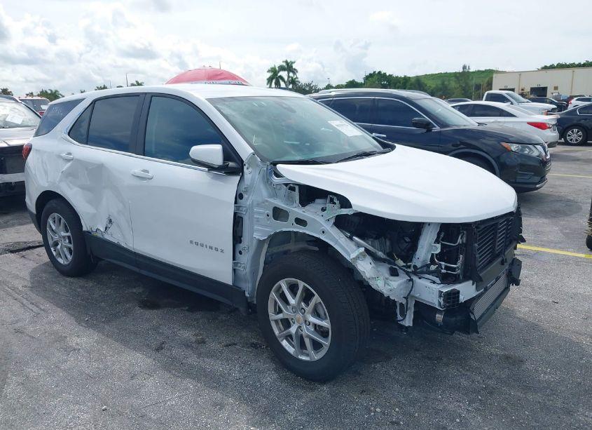 2024 Chevrolet Equinox AWD LT (VIN 3GNAXUEG9RL239812) main photo