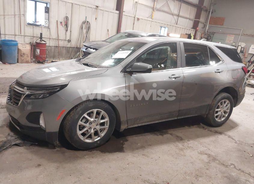 Photo 14 of 2024 Chevrolet Equinox AWD LT (VIN 3GNAXUEG9RL246257)