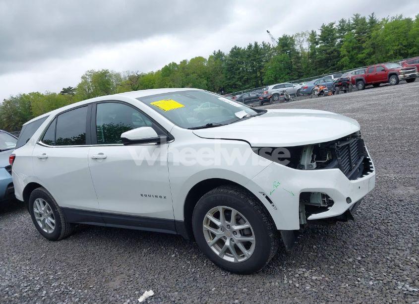 Photo 13 of 2023 Chevrolet Equinox AWD LT (VIN 3GNAXUEGXPS145862)