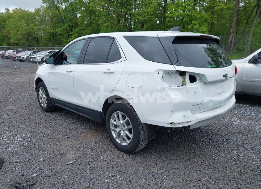 Photo 3 of 2023 Chevrolet Equinox AWD LT (VIN 3GNAXUEGXPS145862)