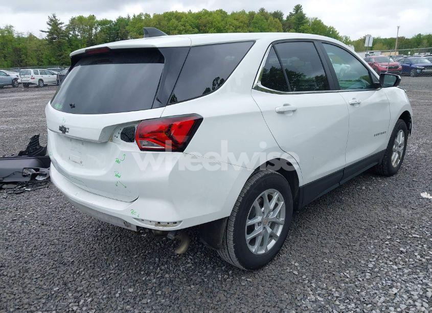 Photo 4 of 2023 Chevrolet Equinox AWD LT (VIN 3GNAXUEGXPS145862)