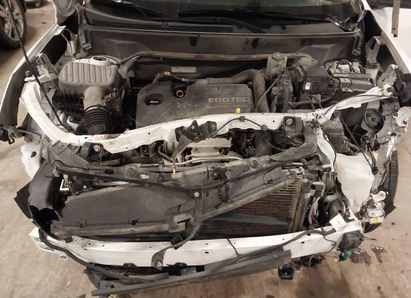 Photo 10 of 2019 Chevrolet Equinox LT (VIN 3GNAXUEV1KL207697)