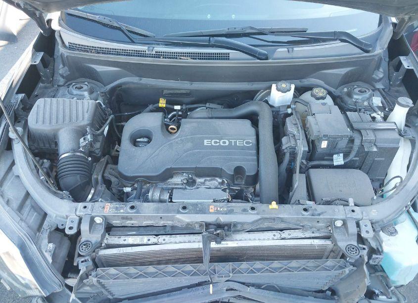Photo 10 of 2019 Chevrolet Equinox LT (VIN 3GNAXUEV4KS564703)