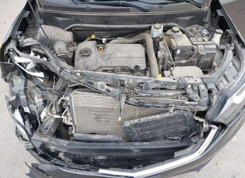 Photo 10 of 2019 Chevrolet Equinox LT (VIN 3GNAXUEV7KS556272)