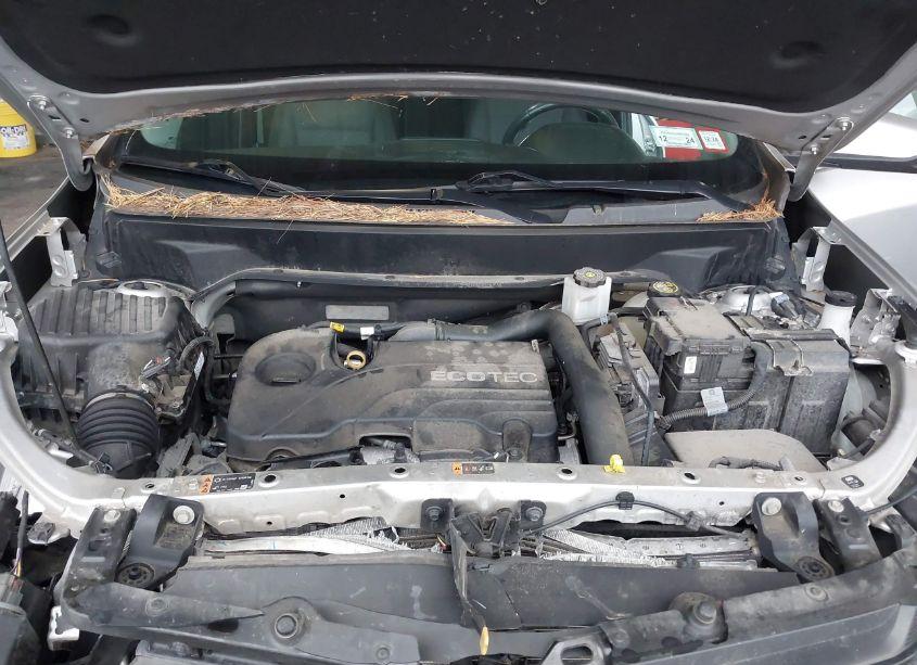 Photo 10 of 2019 Chevrolet Equinox LT (VIN 3GNAXUEV7KS673348)