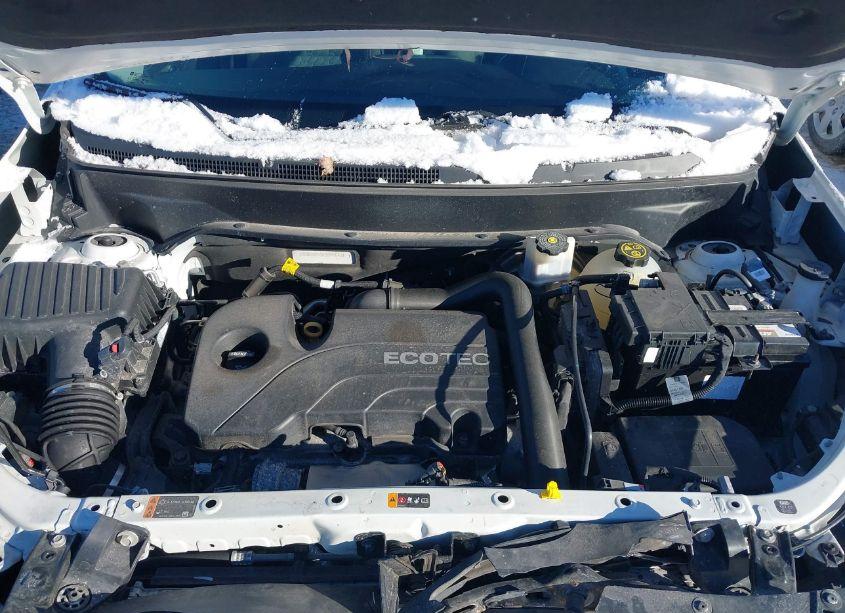 Photo 10 of 2019 Chevrolet Equinox LT (VIN 3GNAXUEV8KS597042)