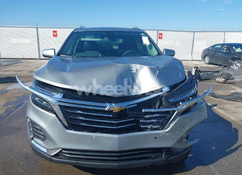 Photo 13 of 2024 Chevrolet Equinox AWD PREMIER (VIN 3GNAXXEG8RL307664)