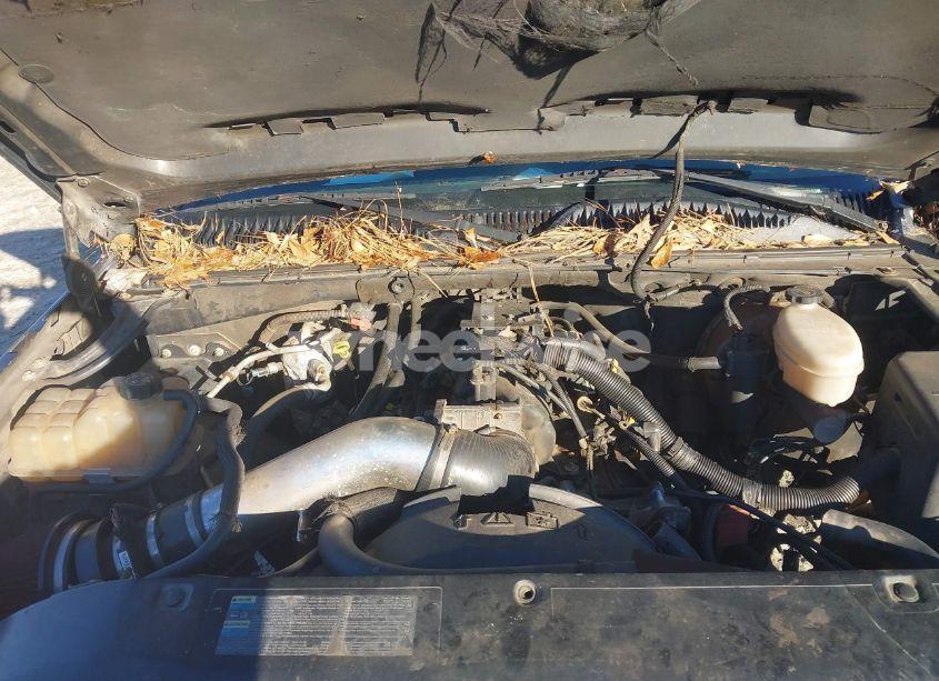 Photo 10 of 2003 Chevrolet Avalanche 1500 (VIN 3GNEK13T43G119348)