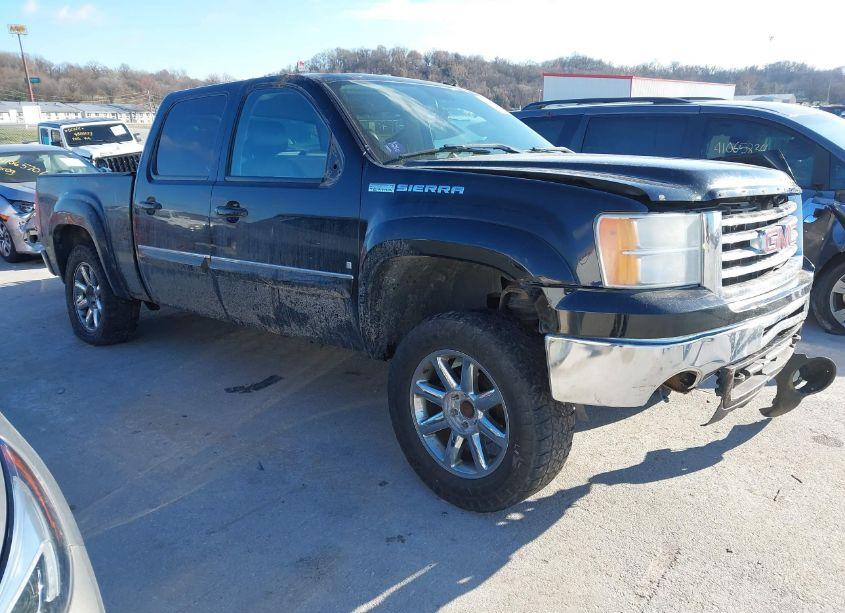2009 Gmc Sierra 1500 WORK TRUCK (VIN 3GTEK13M29G123117) main photo