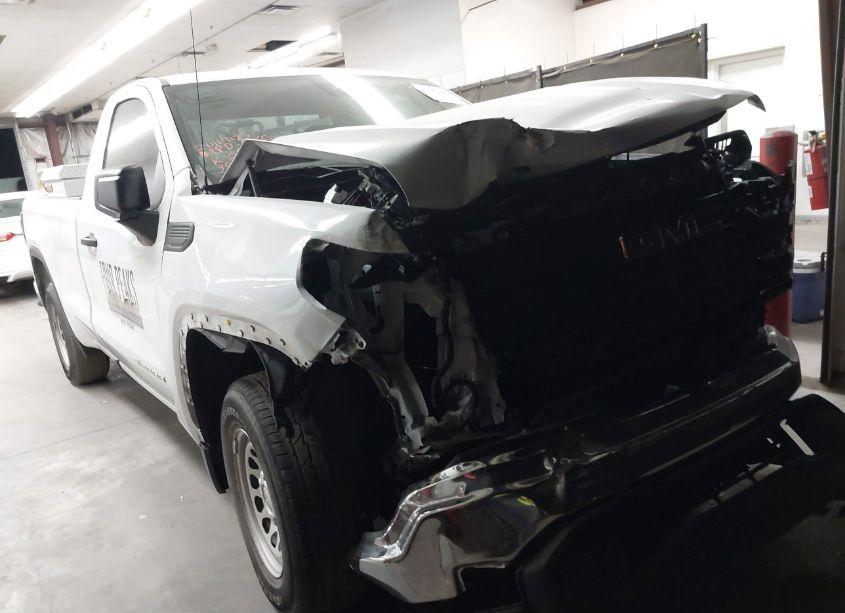 2023 Gmc Sierra 1500 2WD LONG BOX PRO (VIN 3GTNHAEK1PG333912) main photo