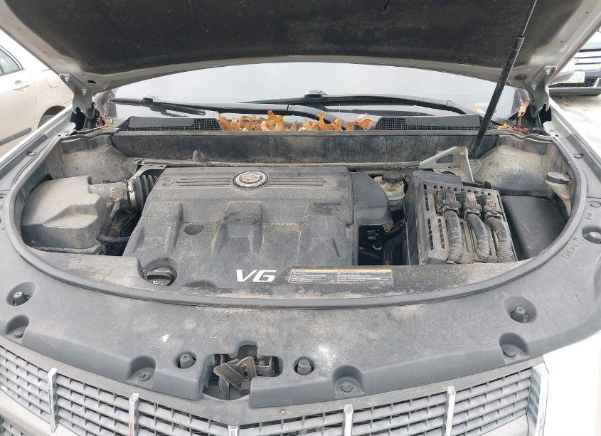 Photo 10 of 2012 Cadillac Srx LUXURY COLLECTION (VIN 3GYFNAE30CS577042)