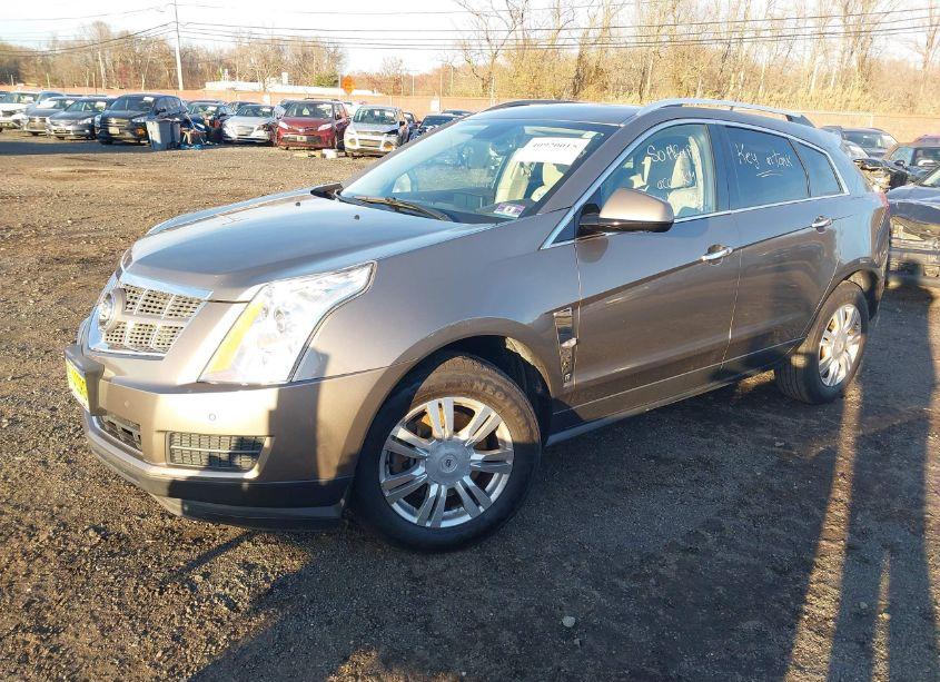 Photo 2 of 2012 Cadillac Srx LUXURY COLLECTION (VIN 3GYFNAE31CS550402)