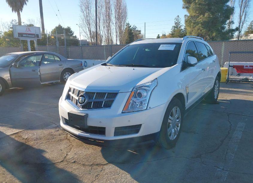 Photo 6 of 2012 Cadillac Srx (VIN 3GYFNAE31CS591564)