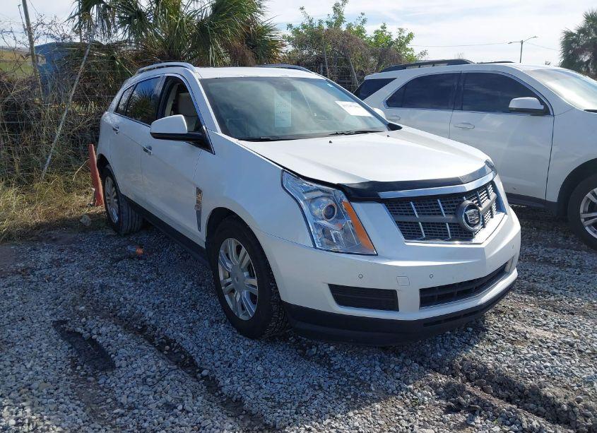 2012 Cadillac Srx LUXURY COLLECTION (VIN 3GYFNAE32CS609568) main photo
