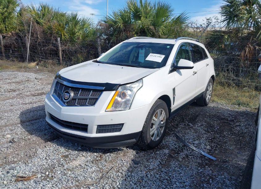 Photo 2 of 2012 Cadillac Srx LUXURY COLLECTION (VIN 3GYFNAE32CS609568)