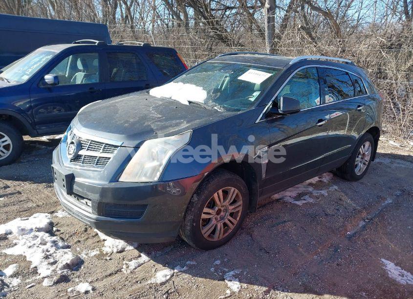 Photo 2 of 2012 Cadillac Srx LUXURY COLLECTION (VIN 3GYFNAE32CS631912)