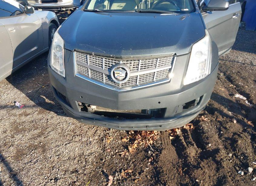 Photo 6 of 2012 Cadillac Srx LUXURY COLLECTION (VIN 3GYFNAE33CS545525)