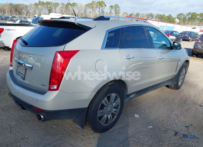 Photo 4 of 2012 Cadillac Srx LUXURY COLLECTION (VIN 3GYFNAE33CS567203)