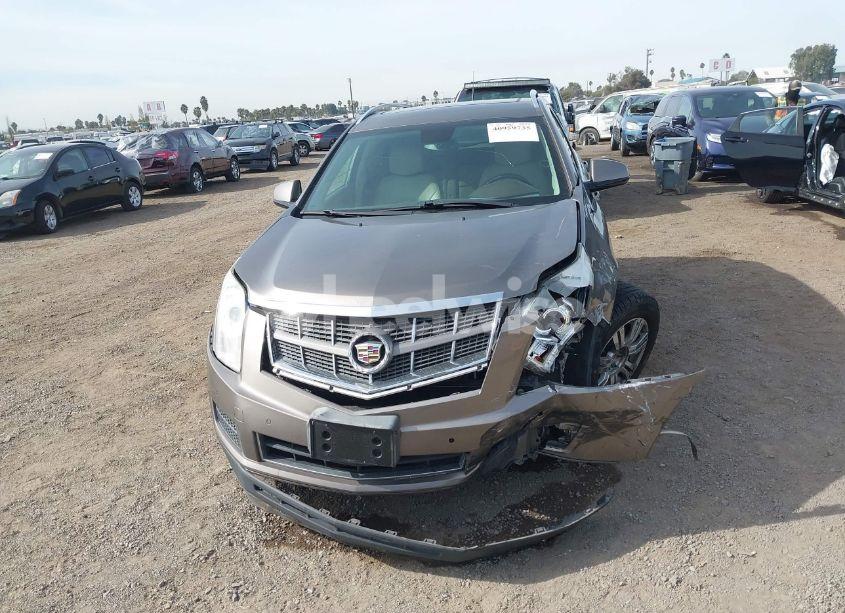 Photo 13 of 2012 Cadillac Srx LUXURY COLLECTION (VIN 3GYFNAE33CS608719)