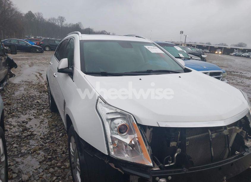2012 Cadillac Srx LUXURY COLLECTION (VIN 3GYFNAE33CS624788) main photo