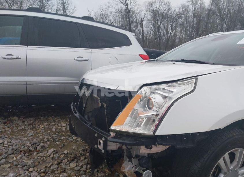 Photo 6 of 2012 Cadillac Srx LUXURY COLLECTION (VIN 3GYFNAE33CS624788)