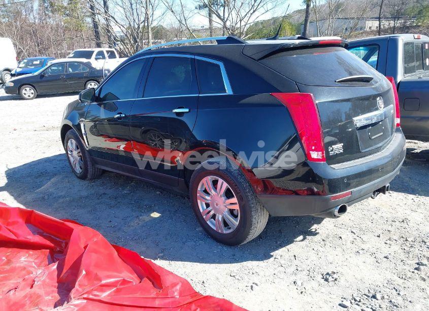 Photo 3 of 2012 Cadillac Srx LUXURY COLLECTION (VIN 3GYFNAE35CS587033)